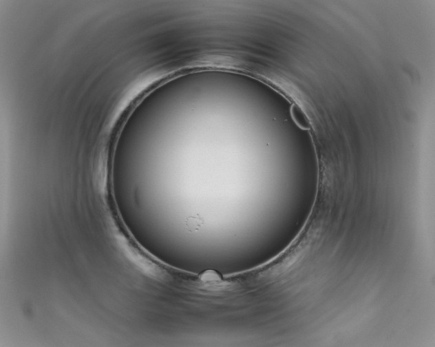 X0000111491131200907141233