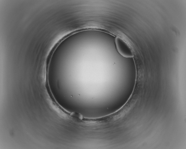 X0000111491132200907141233