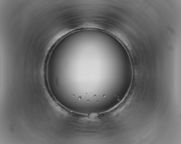 X0000111491133200907141233