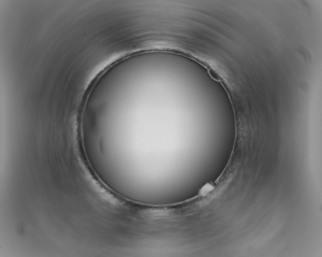 X0000111491134200907141233
