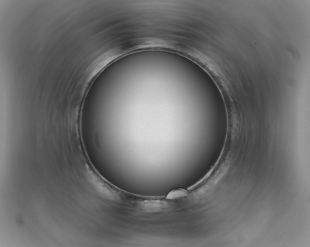 X0000111491137200907141233