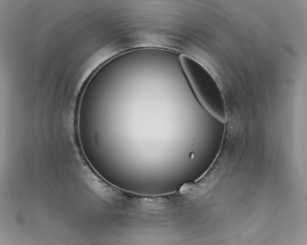 X0000111491138200907141233