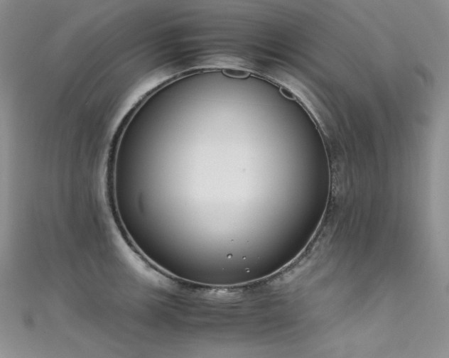 X0000111491139200907141233