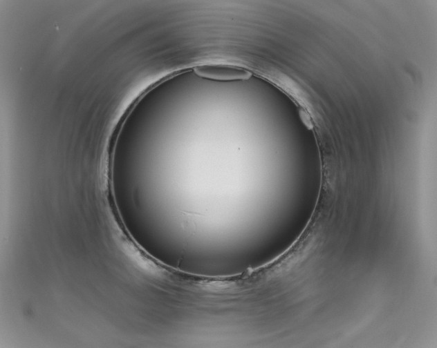 X0000111491140200907141233