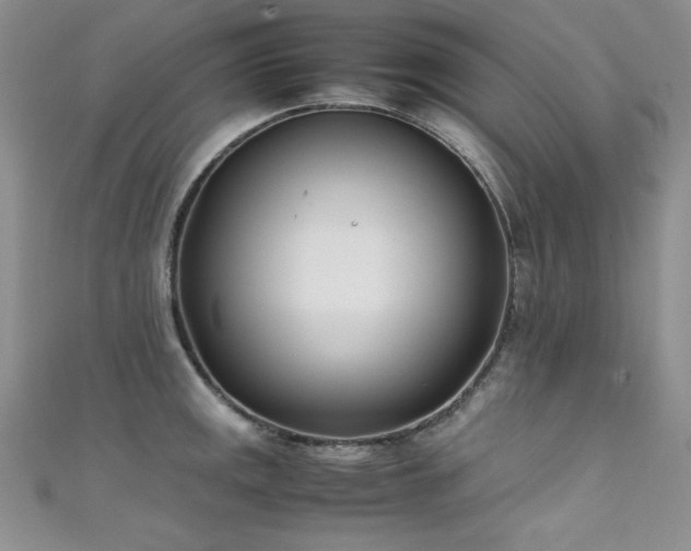 X0000111491141200907141233
