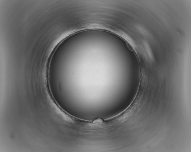 X0000111491142200907141233