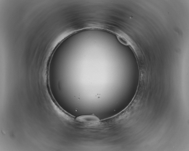 X0000111491143200907141233