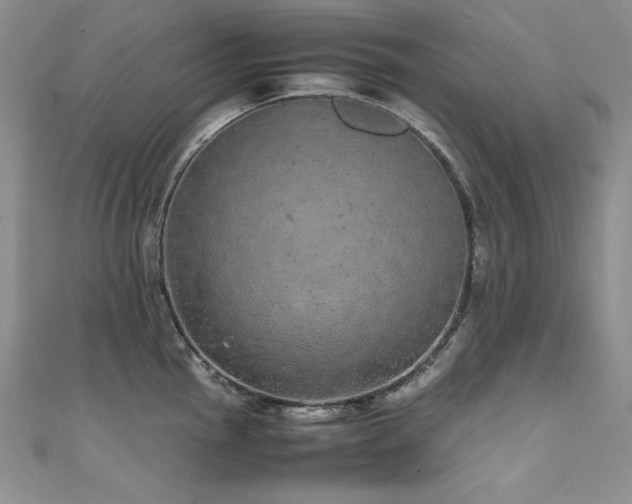 X0000111491145200907141233
