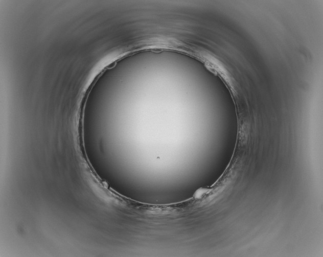 X0000111491146200907141233