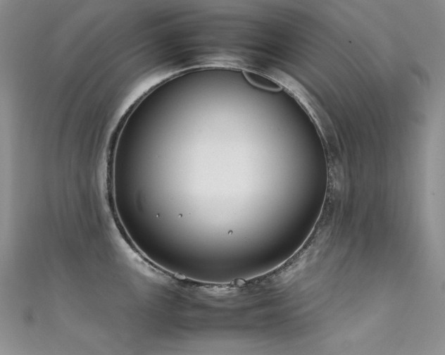 X0000111491147200907141233