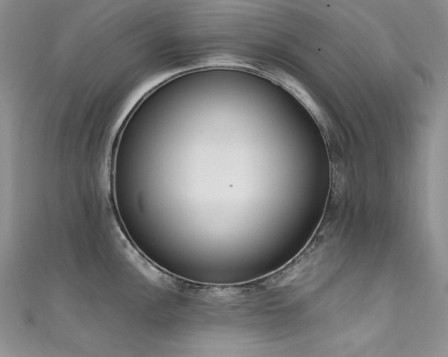 X0000111491148200907141233