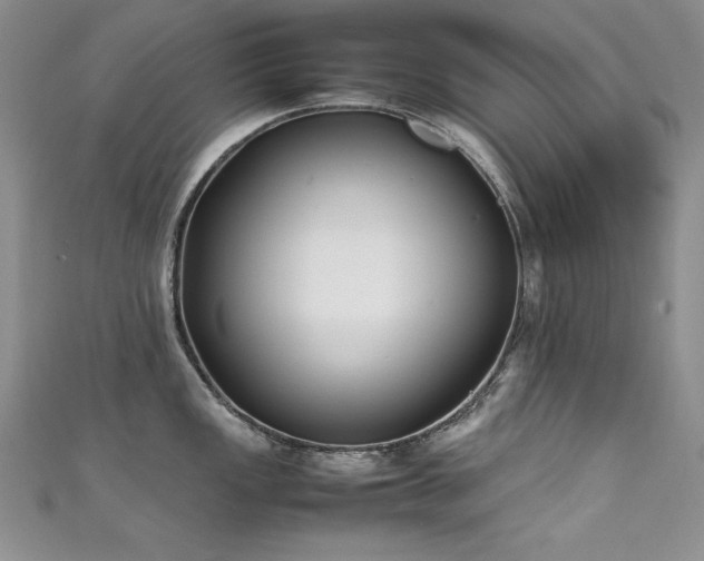 X0000111491149200907141233