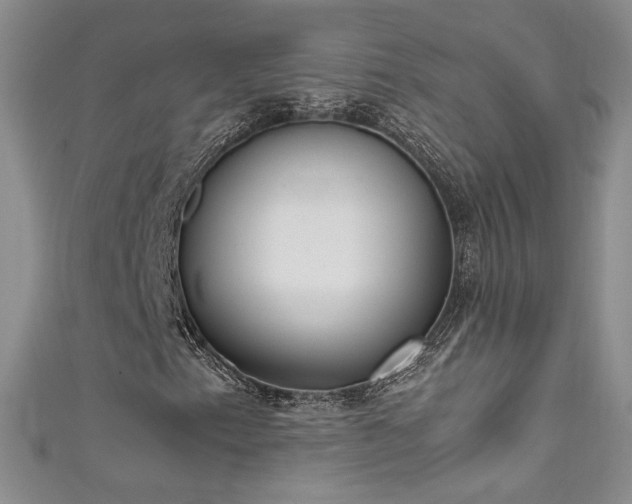 X0000111491153200907141233