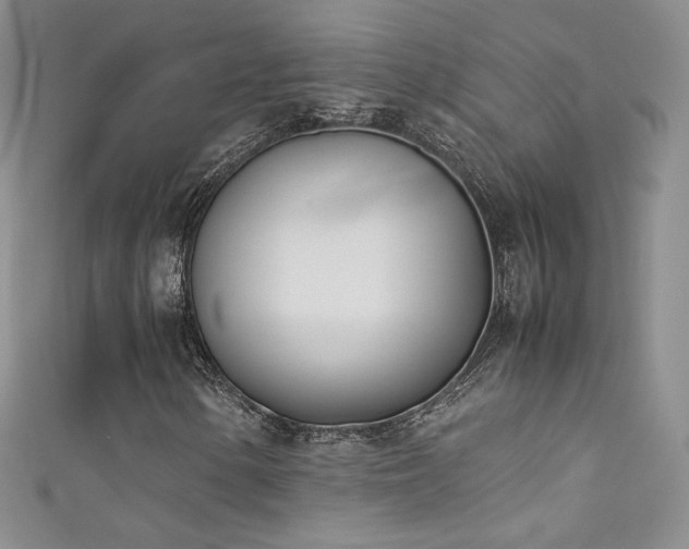 X0000111491154200907141233
