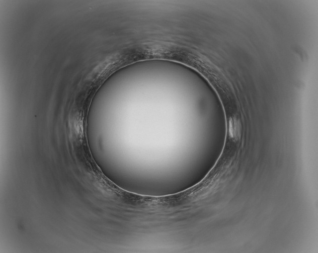 X0000111491155200907141233