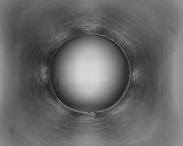 X0000111491156200907141233