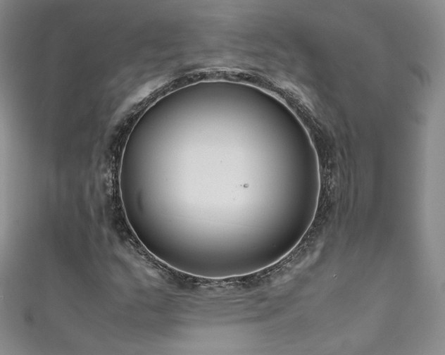 X0000111491159200907141233