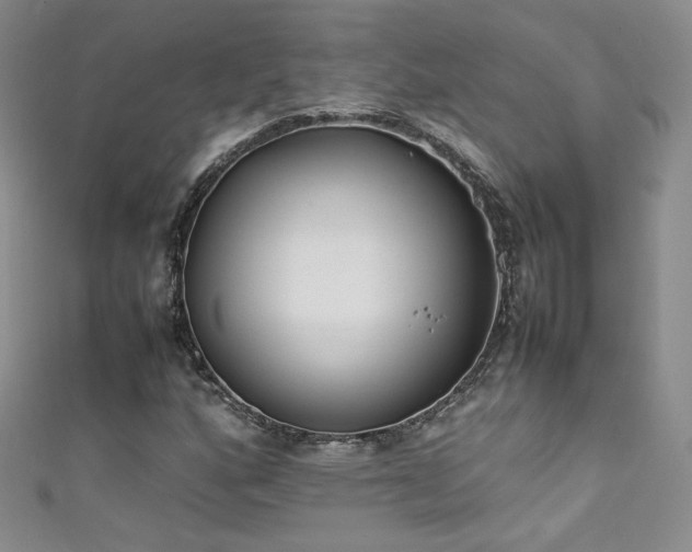 X0000111491160200907141233