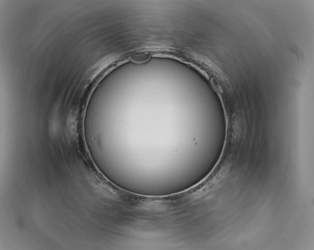 X0000111491162200907141233