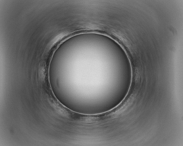 X0000111491163200907141233