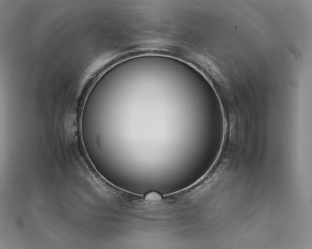 X0000111491164200907141233
