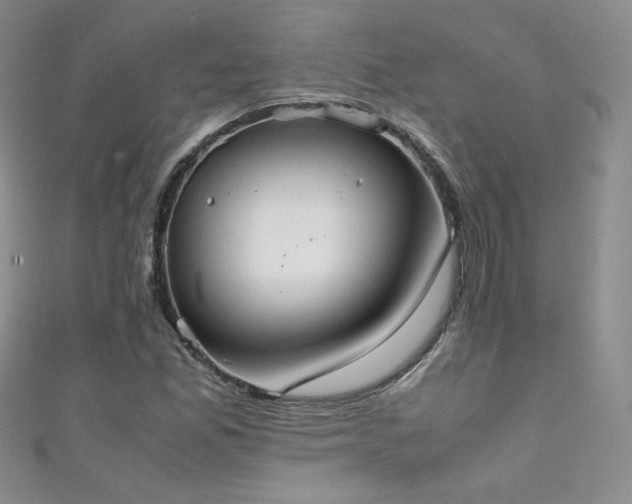 X0000111491165200907141233