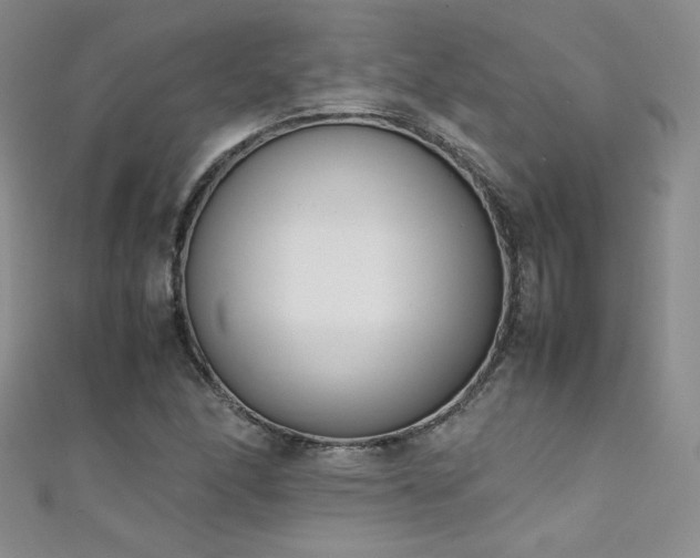 X0000111491166200907141233