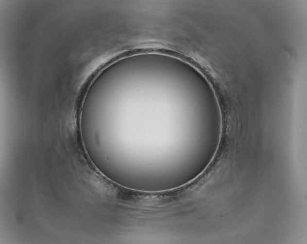 X0000111491167200907141233