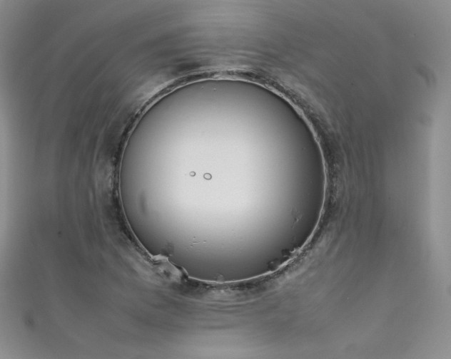 X0000111491169200907141233