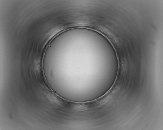 X0000111491170200907141233
