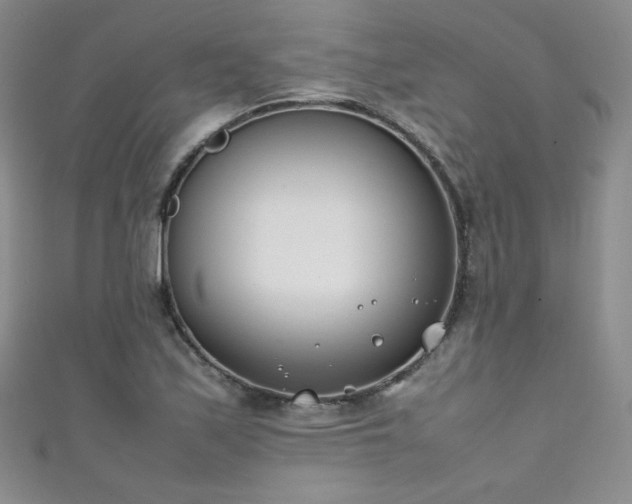 X0000111491171200907141233