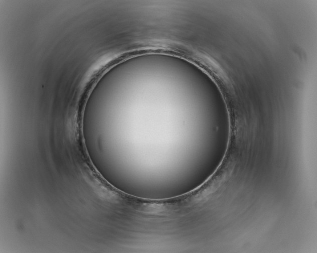 X0000111491172200907141233