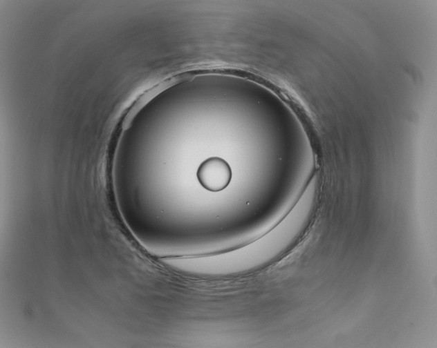 X0000111491173200907141233