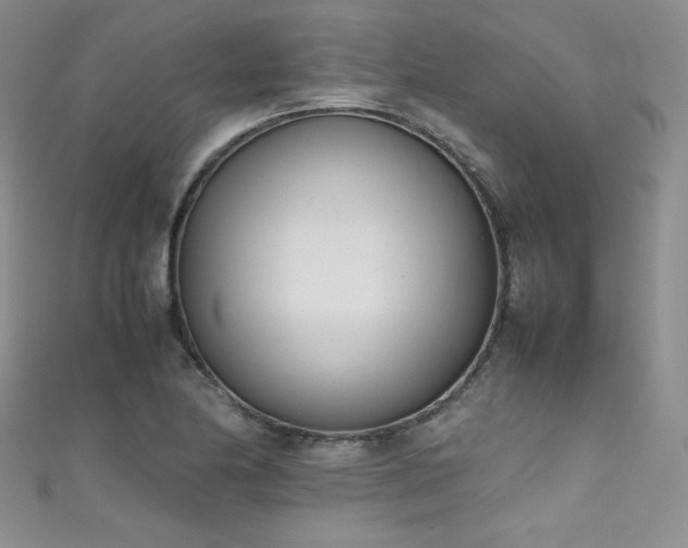 X0000111491174200907141232