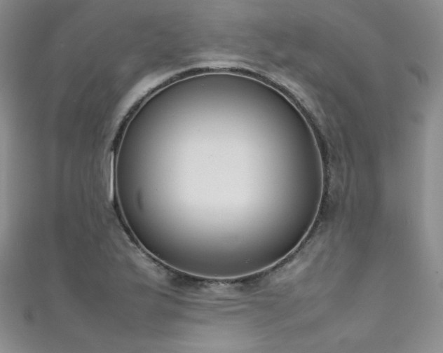 X0000111491175200907141232