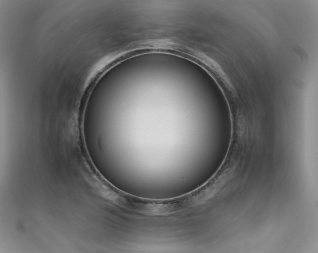 X0000111491176200907141232