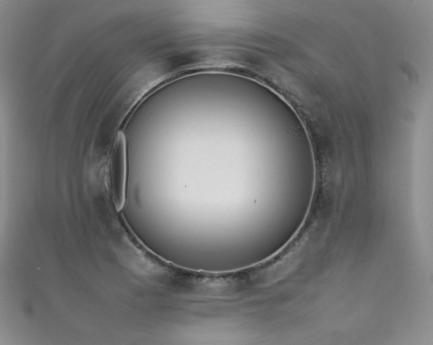 X0000111491177200907141232