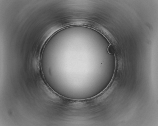 X0000111491178200907141232
