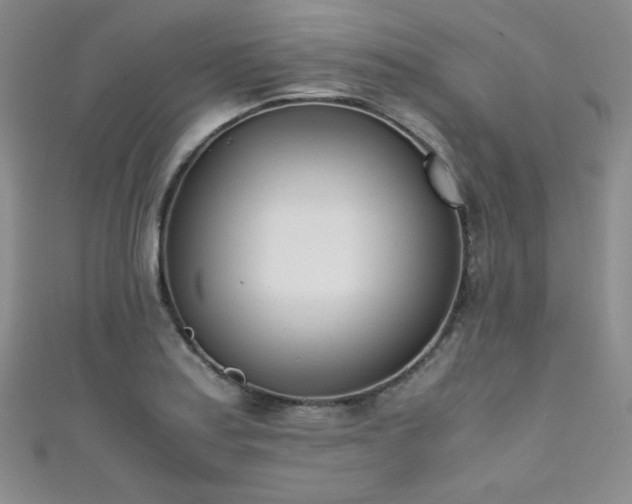 X0000111491179200907141232