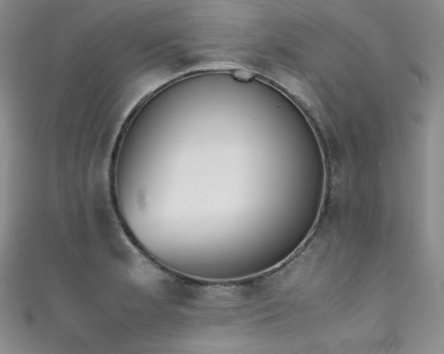 X0000111491181200907141232