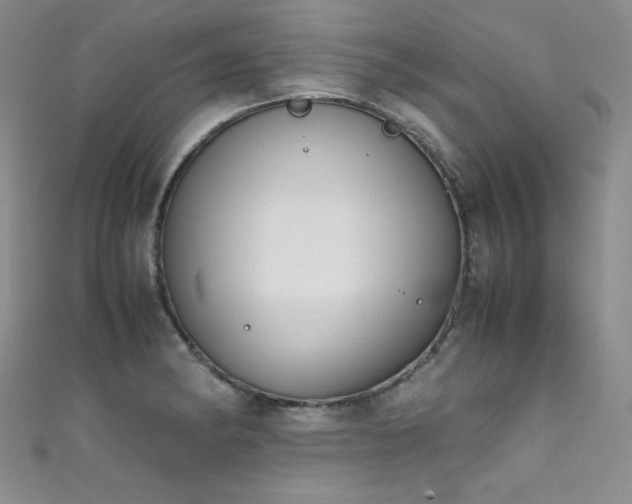 X0000111491182200907141232