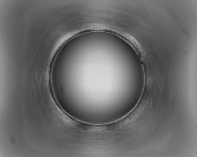 X0000111491183200907141232