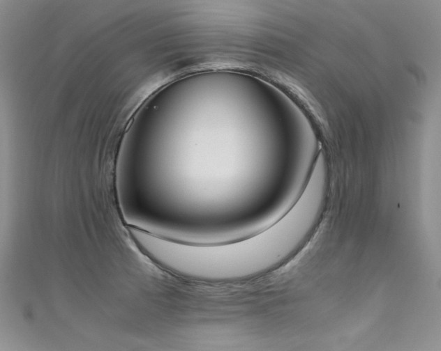 X0000111491185200907141232