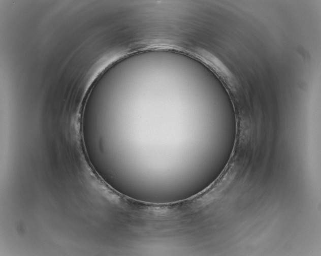 X0000111491190200907141232