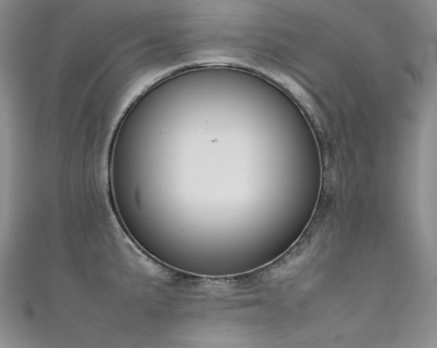 X0000111491191200907141232
