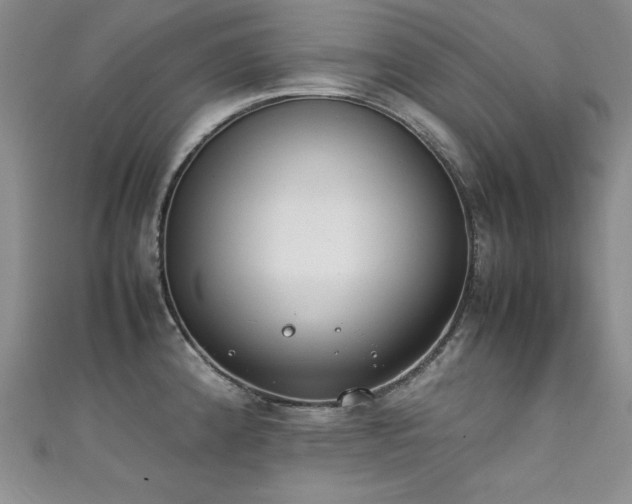 X0000111491192200907141232
