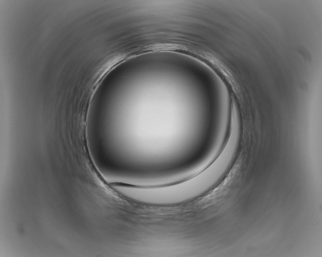 X0000111491193200907141232