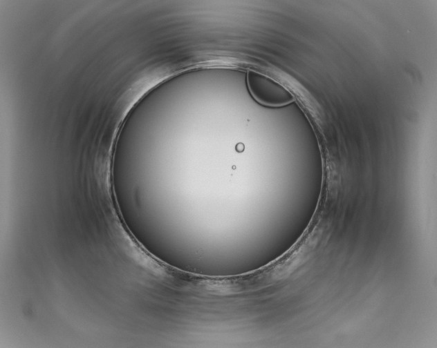 X0000111491194200907141232
