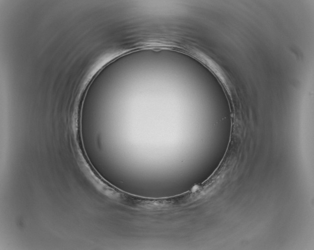 X0000111491195200907141232