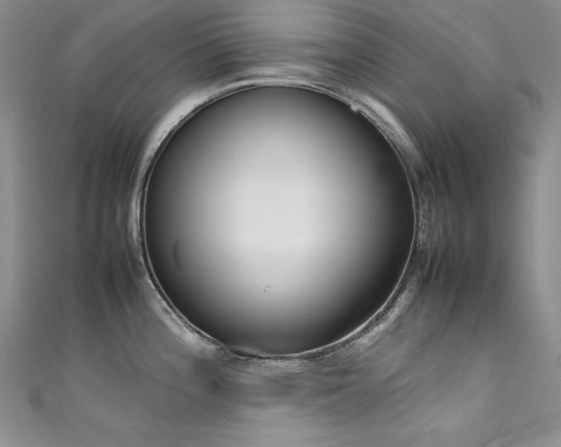 X0000111491196200907141232